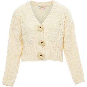 ebeeza Gebreid vest  beige / wolwit