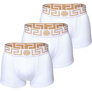 VERSACE Boxershorts  goud / wit