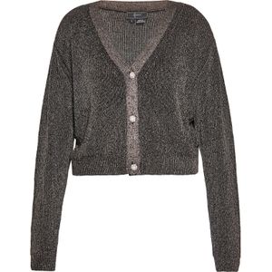 faina Gebreid vest  zilvergrijs