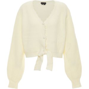 NAEMI Gebreid vest  wolwit