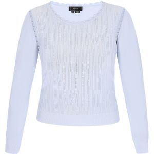 faina Trui  lichtblauw