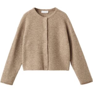 MANGO KIDS - Gebreid Vest - Bruin - Normale Pasvorm