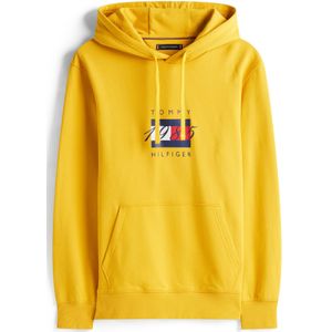TOMMY HILFIGER Sweatshirt  navy / geel / rood / wit