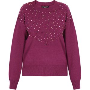 faina Trui  pruim / gemengde kleuren