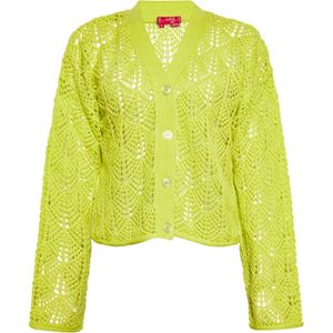 swirly Gebreid vest  appel