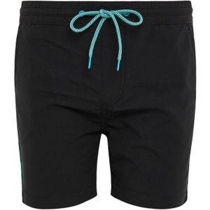 Threadbare Zwemshorts 'Briar'  aqua / zwart
