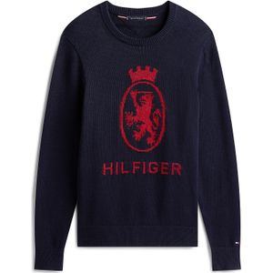 TOMMY HILFIGER - Trui - Navy - Pullovers