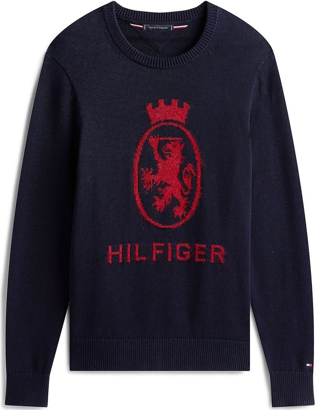 TOMMY HILFIGER - Trui - Navy - Pullovers