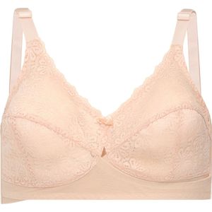 Dagi Minimizer  nude