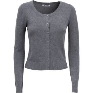 Influencer Gebreid vest  grijs