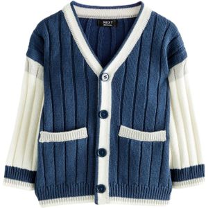 Next Gebreid vest  navy / grijs / wit