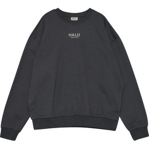HALO Sweatshirt  taupe / donkergrijs