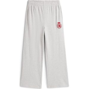 TOMMY HILFIGER Broek  grijs / rood