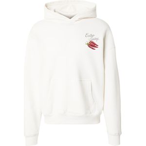 HOLLISTER Sweatshirt  crème / antraciet / spar / knalrood