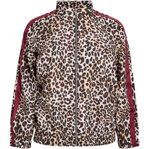 Zizzi Tussenjas 'Eclaru'  crème / lichtbruin / donkerbruin