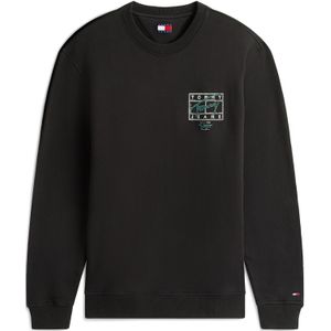 Tommy Jeans Sweatshirt  spar / zwart / zilver
