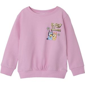 Sweatshirt 'Bluey'