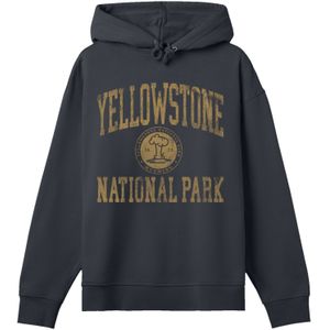 F4NT4STIC Sweatshirt 'US National Parks'  geel / zwart