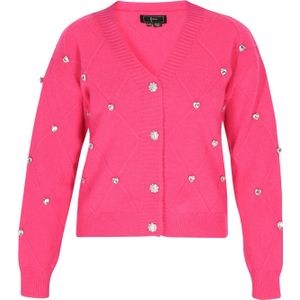 faina Gebreid vest  fuchsia / zilver