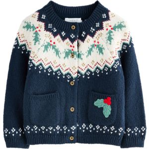 Next Gebreid vest  navy / gemengde kleuren