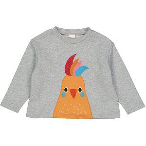 Fred's World by GREEN COTTON Sweatshirt  neonblauw / grijs gemêleerd / oranje / rood