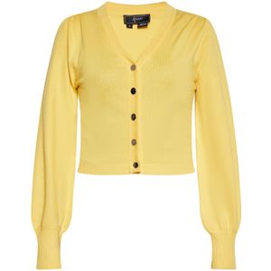 faina Gebreid vest  lichtgeel