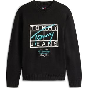 Tommy Jeans Trui  mintgroen / zwart / wit