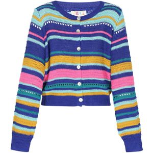 IZIA Gebreid vest  royal blue/koningsblauw / donkergeel / petrol / mintgroen