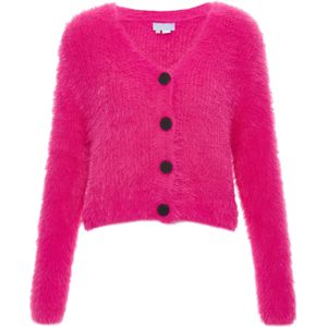 Poomi Gebreid vest  pink