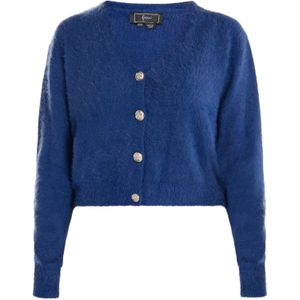 faina Gebreid vest 'Dedica'  enziaan