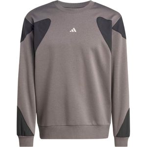 ADIDAS SPORTSWEAR Sportsweatshirt 'FN'  antraciet / aardetinten