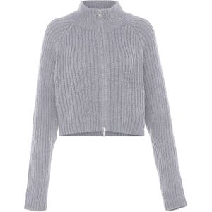 Libbi Gebreid vest  lichtgrijs