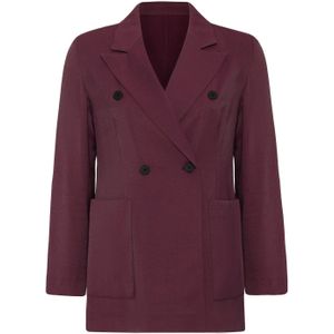 Antioch Blazers  bourgogne