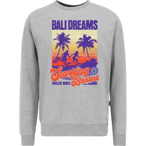 Oldskull Sweatshirt 'Wrldvibe Bali Beam Graphic'  grijs / gemengde kleuren