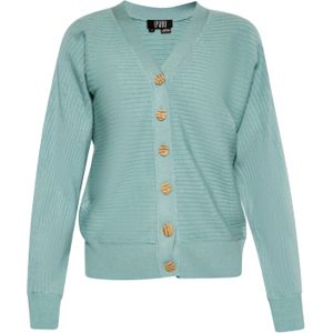 DreiMaster Klassik Gebreid vest 'Iparo'  aqua