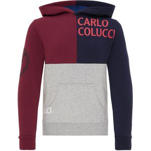 Carlo Colucci Sweatshirt  navy / grijs gemêleerd / bessen / wit