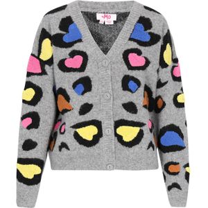 MYMO Gebreid vest  grijs / gemengde kleuren