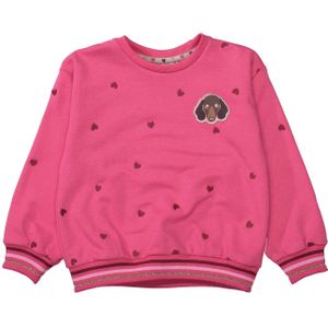 STACCATO Sweatshirt  bruin / pink / bourgogne / zwart