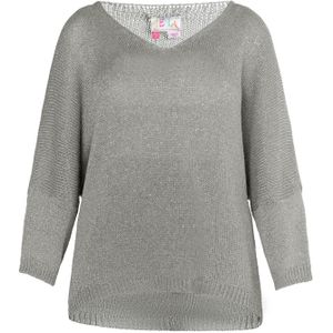 IZIA Trui  grijs / zilvergrijs