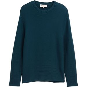 TOM TAILOR DENIM Trui  donkergroen