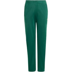 ADIDAS ORIGINALS Broek 'Firebird'  groen / rood / wit