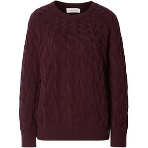 Calvin Klein Jeans Trui  aubergine