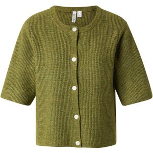 Pcsilly - Korte Mouwen - Gebreid Vest