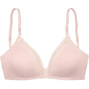 LASCANA BH  poederroze