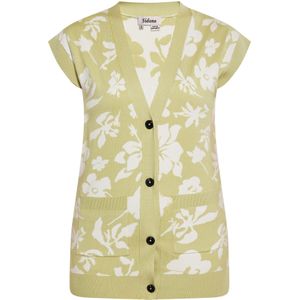 Sidona Gebreid vest  lichtgroen / wit