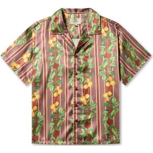 Pas De Monaco Overhemd  kastanjebruin / gemengde kleuren