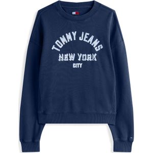 Tommy Jeans Sweatshirt  navy / pastelblauw / wit