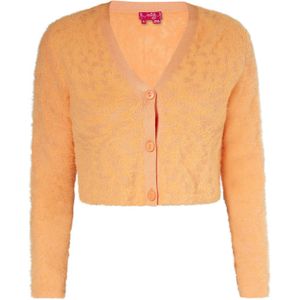 swirly Gebreid vest  oranje