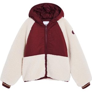 Schaapachtige Jas - Multicolor - Regular-fit - Met Capuchon