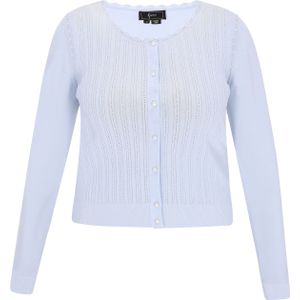 faina Gebreid vest  lichtblauw